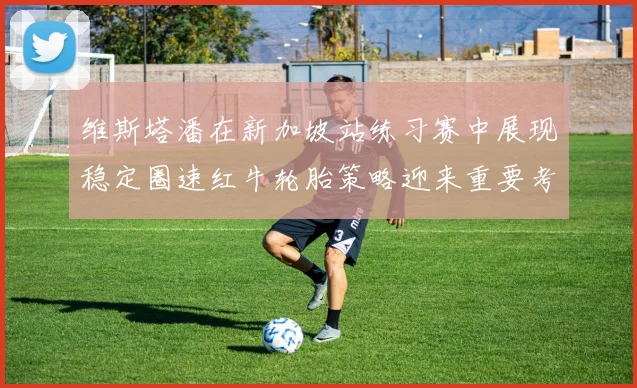 维斯塔潘在新加坡站练习赛中展现稳定圈速红牛轮胎策略迎来重要考验